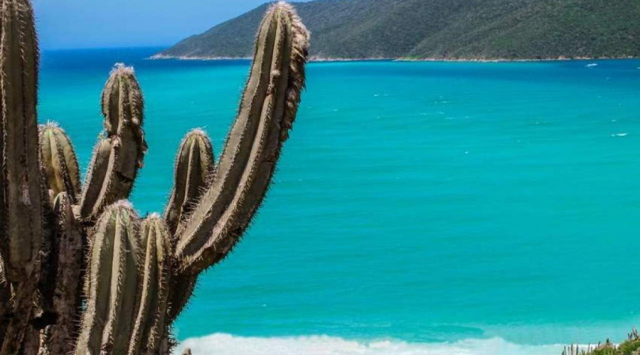 O que fazer em Arraial do Cabo ?