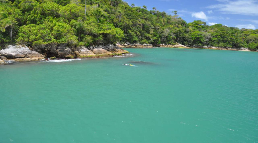 Curious in knowing what the best beach in Bombinhas?