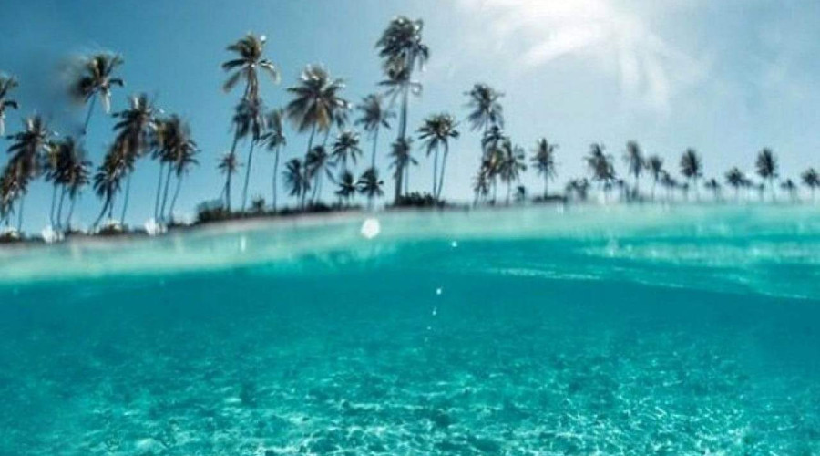 O que fazer em Alagoas ?