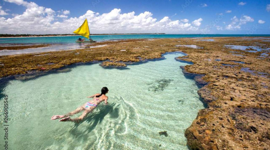 O que fazer em Porto de Galinhas ?